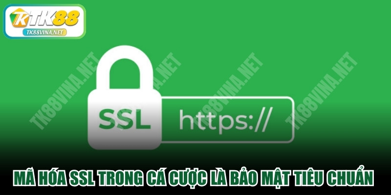Mã hóa SSL trong cá cược là công nghệ bảo mật tiêu chuẩn cao
